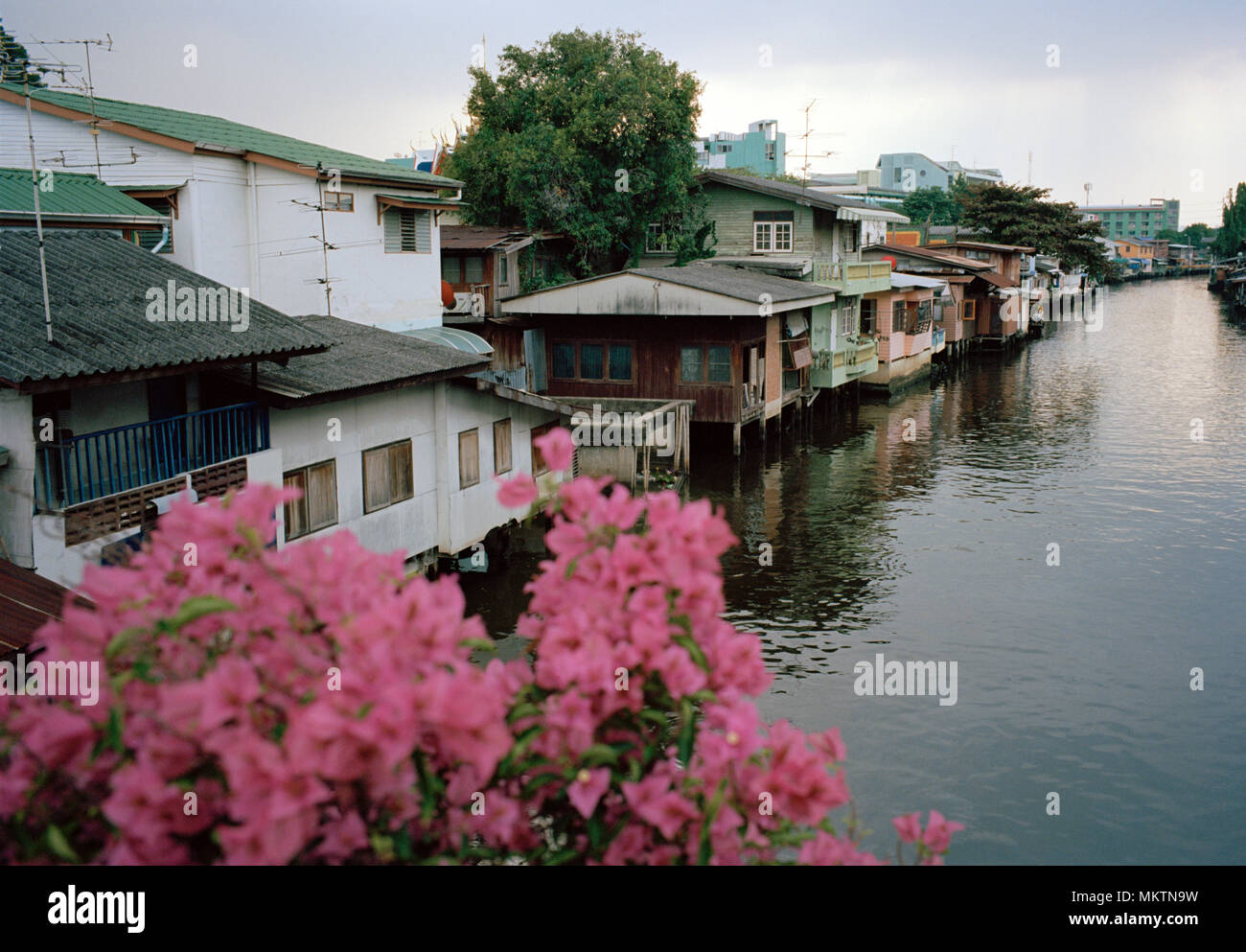 Kanäle von Bangkok - Khlong Mon Canal in Bangkok, Thailand in Südostasien im Fernen Osten. Thailändische Stadt Landschaft Reisen Stockfoto