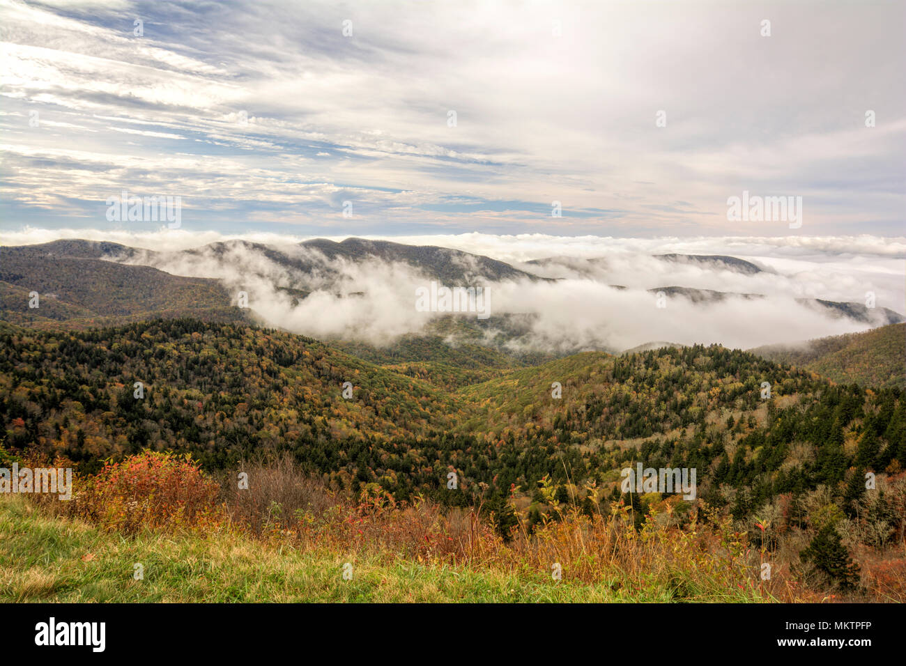 Am frühen Morgen Nebel setzt sich in den Tälern der Berge entlang der Blue Ridge Parkway in Western North Carolina auf einem knackigen Herbst Oktober Tag. Stockfoto