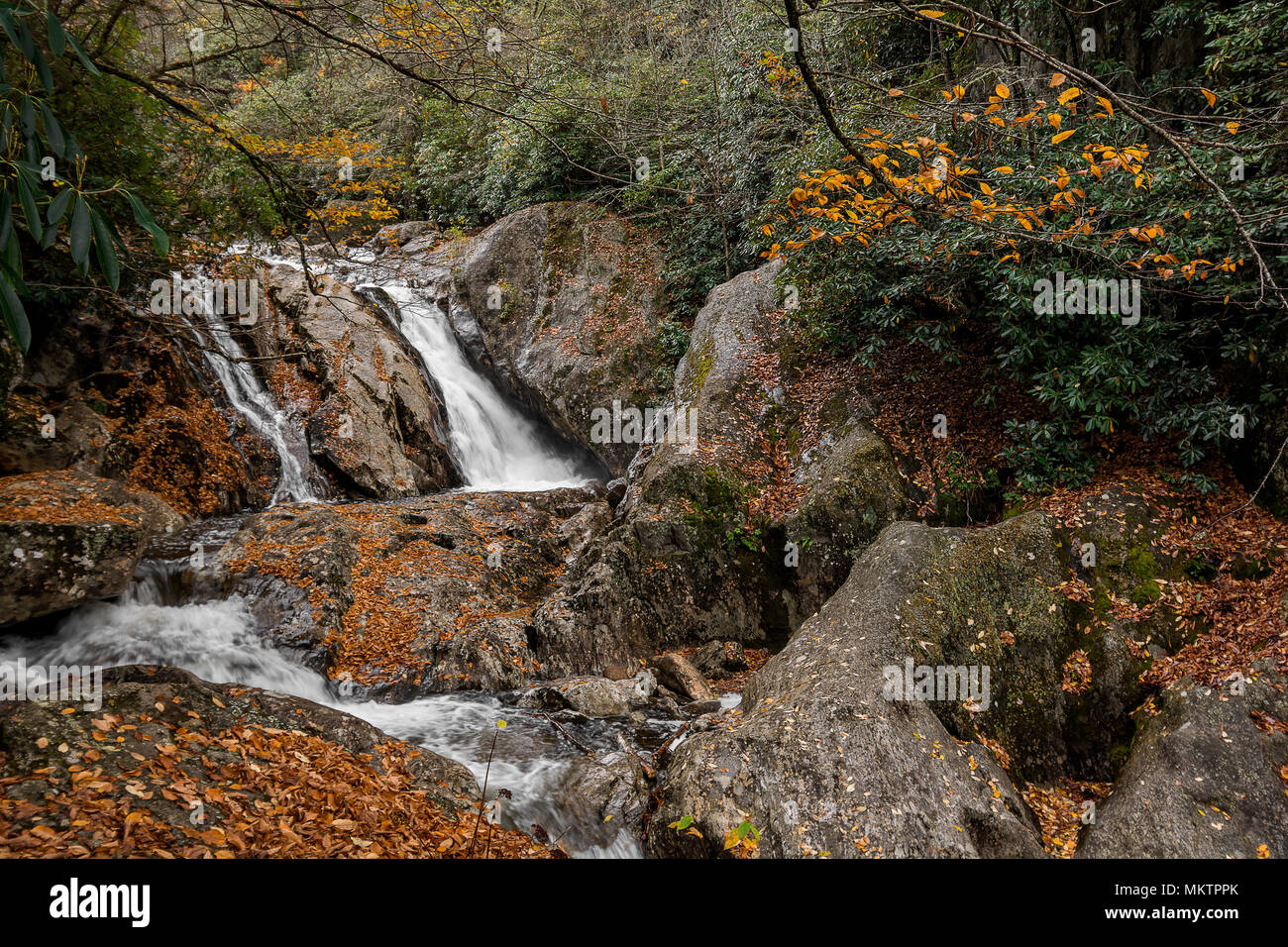 Sunburst fällt North Carolina. Schönen Wasserfall rechts entlang NC 215 nur wenige Meilen nördlich des Blue Ridge Parkway. Hier mit Herbst gesehen Stockfoto