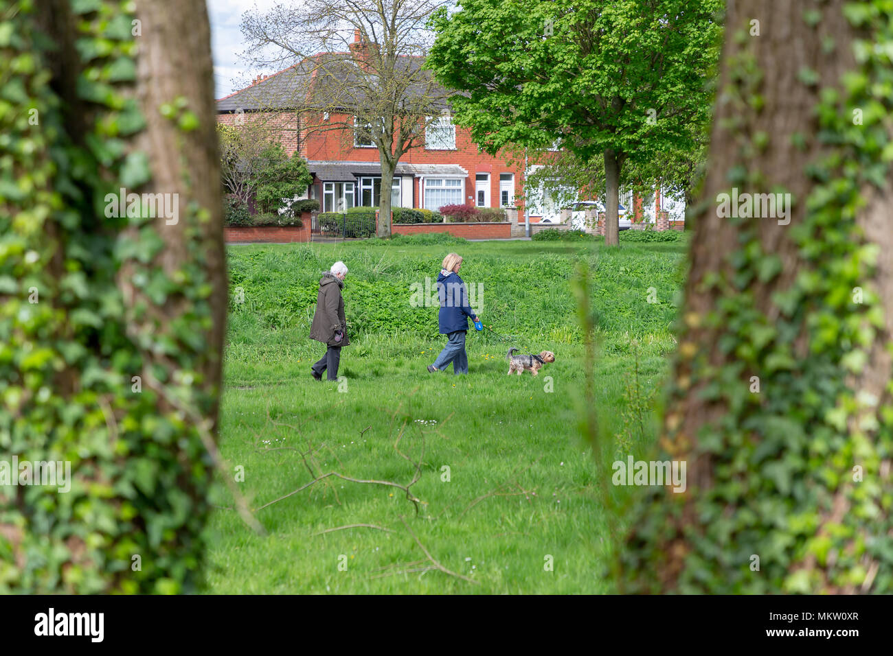 Zwei Frauen gehen ein Hund an einem sonnigen Sonntag morgen in Bruche Park, Warrington, Cheshire, England, Großbritannien am 29. April 2018 Stockfoto