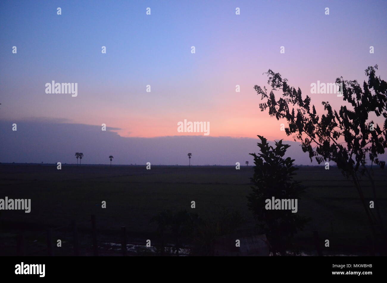 Sonnenuntergang über dem Land mit ein paar spärliche Büsche in Siem Reap Kambodscha Asien Stockfoto