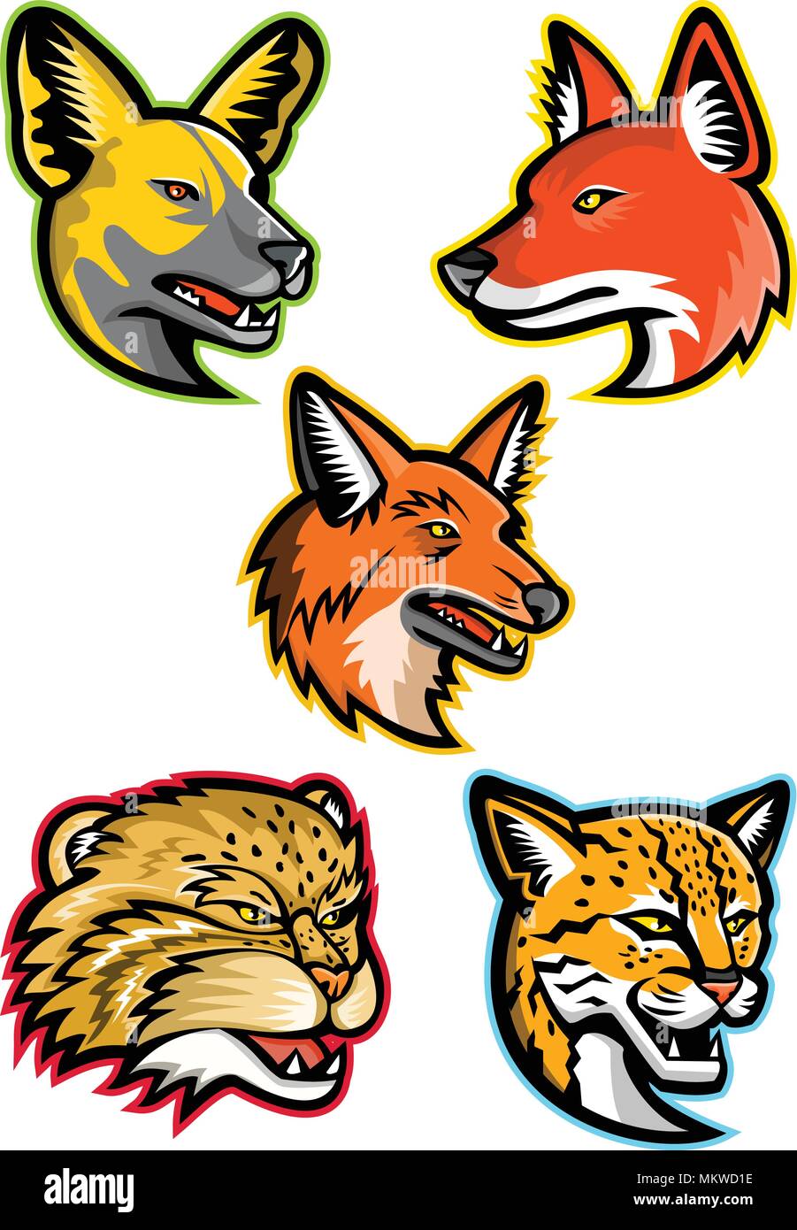 Sport Maskottchen Icon Set von Köpfen von wilden Hunden und Katzen wie die African wild Dog oder lackiert Jagdhund, Dhole oder asiatisch Wild Dog, Mähnenwolf, manul o Stock Vektor