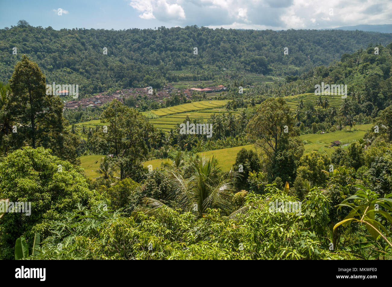 Umgeben von dichten Dschungel Vegetation sind hell grünen Terrassen Reis und den braunen Dächer eines typischen balinesischen Dorf zu pflegen. Munduk, Indonesien Stockfoto