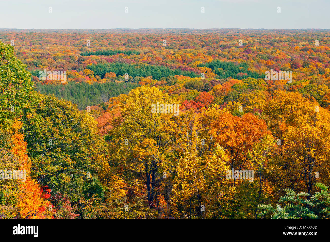 Herbst Panorama im Brown County State Park in Indiana Stockfoto