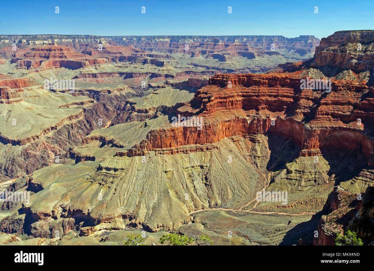 Grand Canyon Formationen aus Pima Point Stockfoto