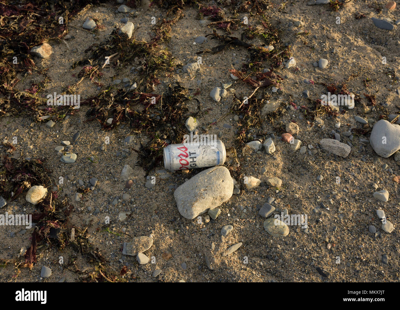 Bier kann entfernt am Strand geworfen, an der Küste von Nordwales uk Stockfoto