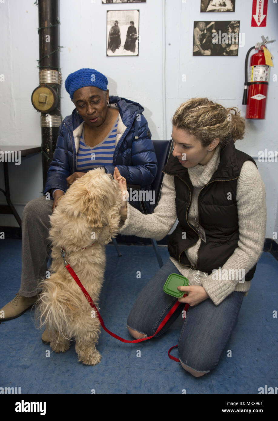 Hund Therapeuten mit Therapie Hund besuche regelmäßig eine ältere Mitte auf der Lower East Side von Manhattan, New York City. Stockfoto
