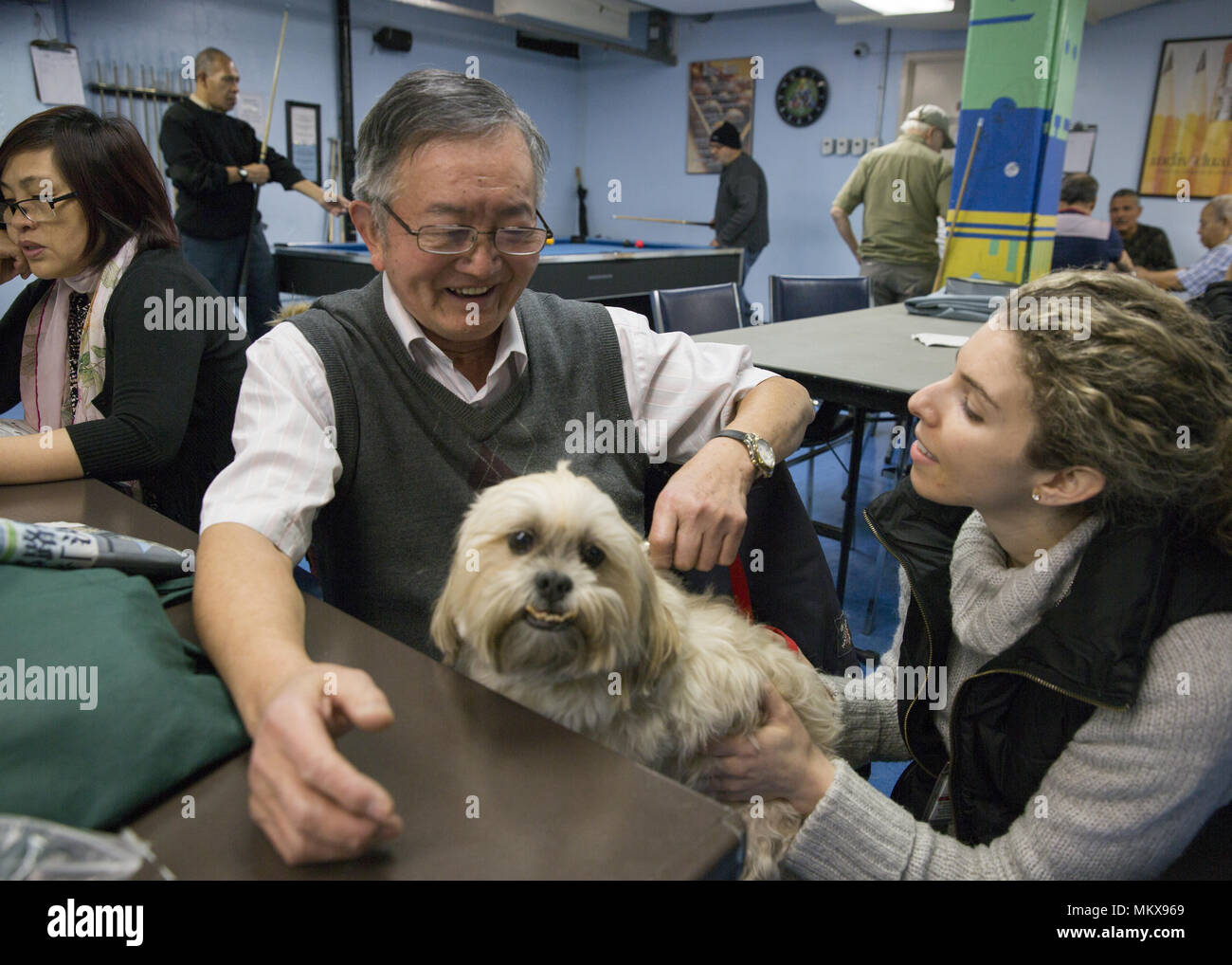 Hund Therapeuten mit Therapie Hund besuche regelmäßig eine ältere Mitte auf der Lower East Side von Manhattan, New York City. Stockfoto