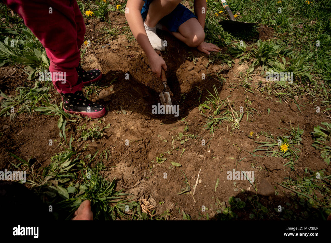 Zwei Kinder Graben in der Erde in einem Garten. Stockfoto