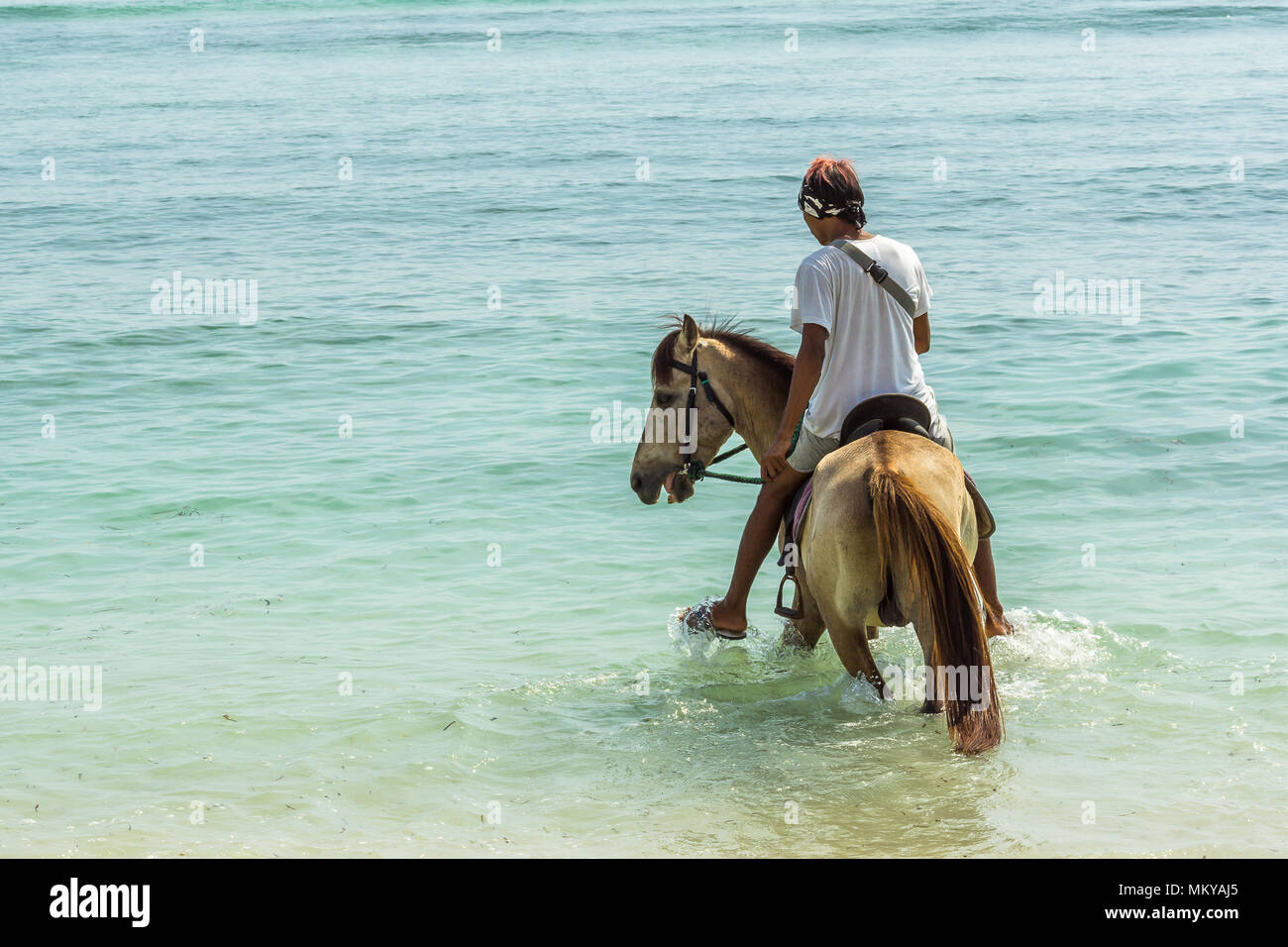 Indonesischer Mann ein Pferd reiten im blauen und grünen seichten Wasser in der Nähe vom Strand, 24. April 2018, Gili Trawangan, Indonesien Stockfoto