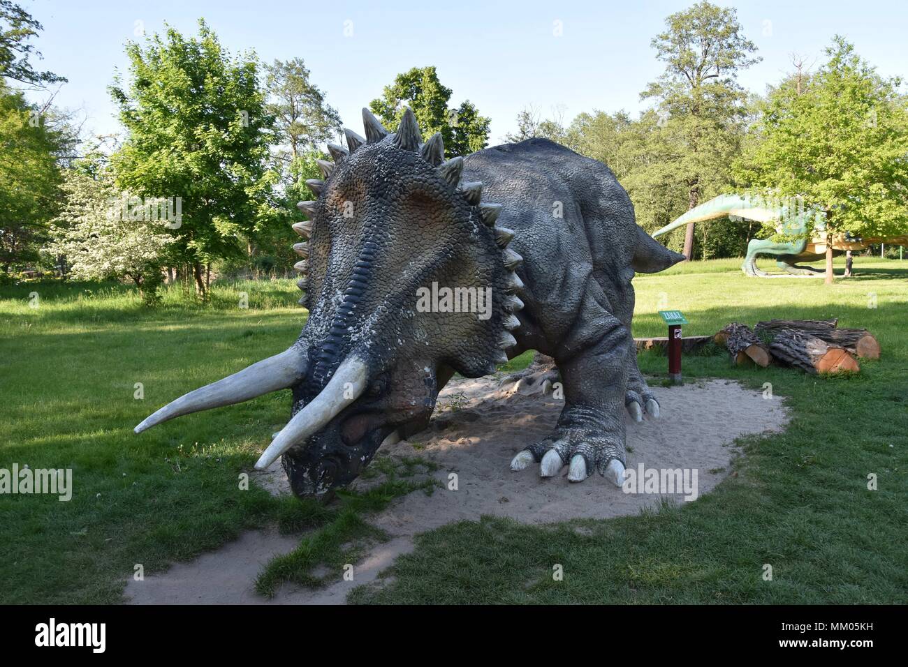 Lubin, Polen. 8. Mai, 2018. Mai 08.2018 Lubin Polen Dinosaur Park in Polen Triceratops Triceratops Horridus Marsh Credit: Piotr Twardysko/ZUMA Draht/Alamy leben Nachrichten Stockfoto
