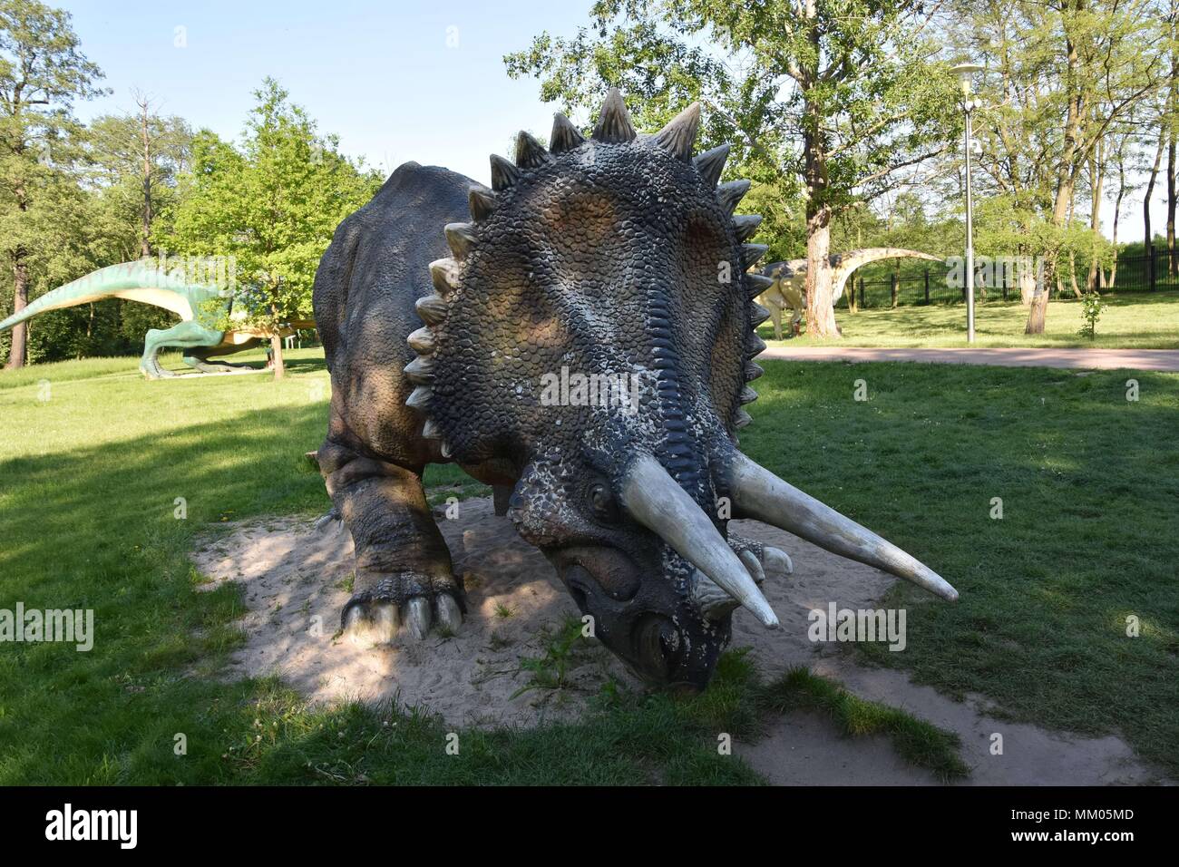 Lubin, Polen. 8. Mai, 2018. Mai 08.2018 Lubin Polen Dinosaur Park in Polen Triceratops Triceratops Horridus Marsh Credit: Piotr Twardysko/ZUMA Draht/Alamy leben Nachrichten Stockfoto