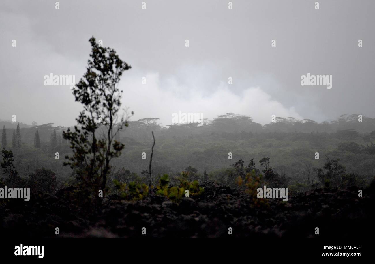 Pahoa. 8. Mai, 2018. Foto am 8. Mai genommen, 2018 zeigt den aufsteigenden Rauch aus einem Lava-und-Gas produzierenden Riss an Leilani Immobilien in Pahoa, Hawaii, USA. Der Ausbruch des Kilauea Vulkans hat 36 Strukturen zerstört Hunderte Menschen evakuiert. Es gibt 14 Lava-und-Gas produzierenden Risse in Leilani Estates, nachdem die zwei Neuen Dienstag gebildet. Credit: Tao Xiyi/Xinhua/Alamy leben Nachrichten Stockfoto