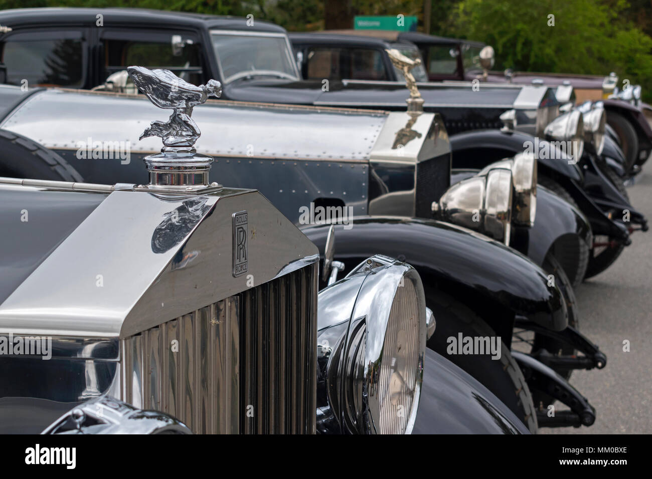 Trebah, Cornwall, England, Großbritannien. 9. Mai 2108. Die heute 20-Ghost Club, die älteste Rolls-Royce Auto Club der Welt versammelten sich in Trebah in Cornwall die Grafschaft getourt, der Club ist für die Erhaltung von vor 1940 Rolls Royce Motor Cars gewidmet. Credit: Kevin Britland/Alamy Leben Nachrichten. Stockfoto