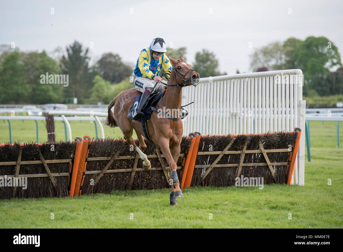 Fontwell, Großbritannien, 9. Mai 2018 Don Lami und Aidan Coleman auf dem Weg zum Gewinnen der Betonline! Starsport. Bet Novizen hürde Credit: Michael Stevens/Alamy leben Nachrichten Stockfoto