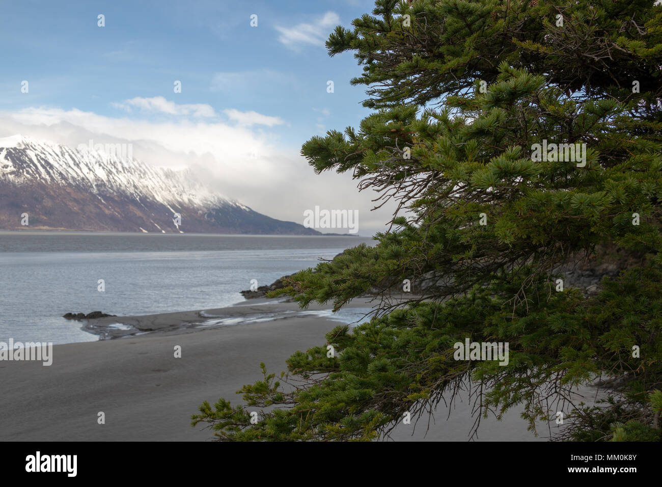 Turnagain Arm, Wattflächen, Bäume, Berge und Wasser. In der Nähe von Hoffnung, Alaska. Felsige Küstenlinie. Die schneebedeckten Chugach Mountains. Kenai Halbinsel Windy Point Stockfoto