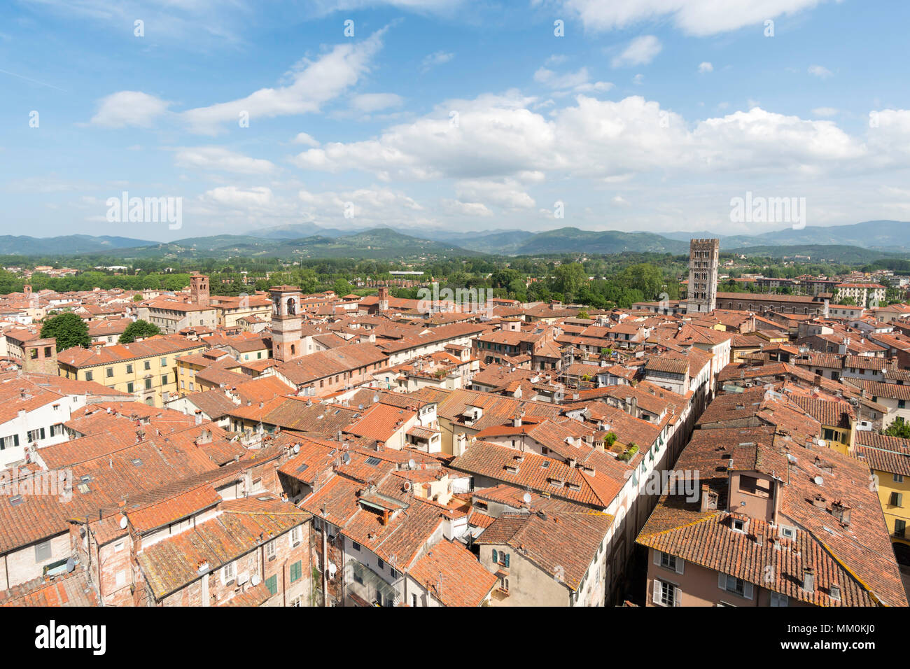 Blick von der Spitze des Torre Delle Ore, Lucca, Toskana, Italien, Europa Stockfoto