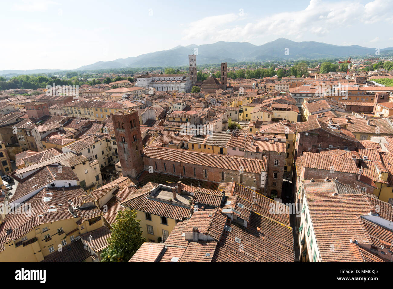 Blick von der Spitze des Torre Delle Ore, Lucca, Toskana, Italien, Europa Stockfoto