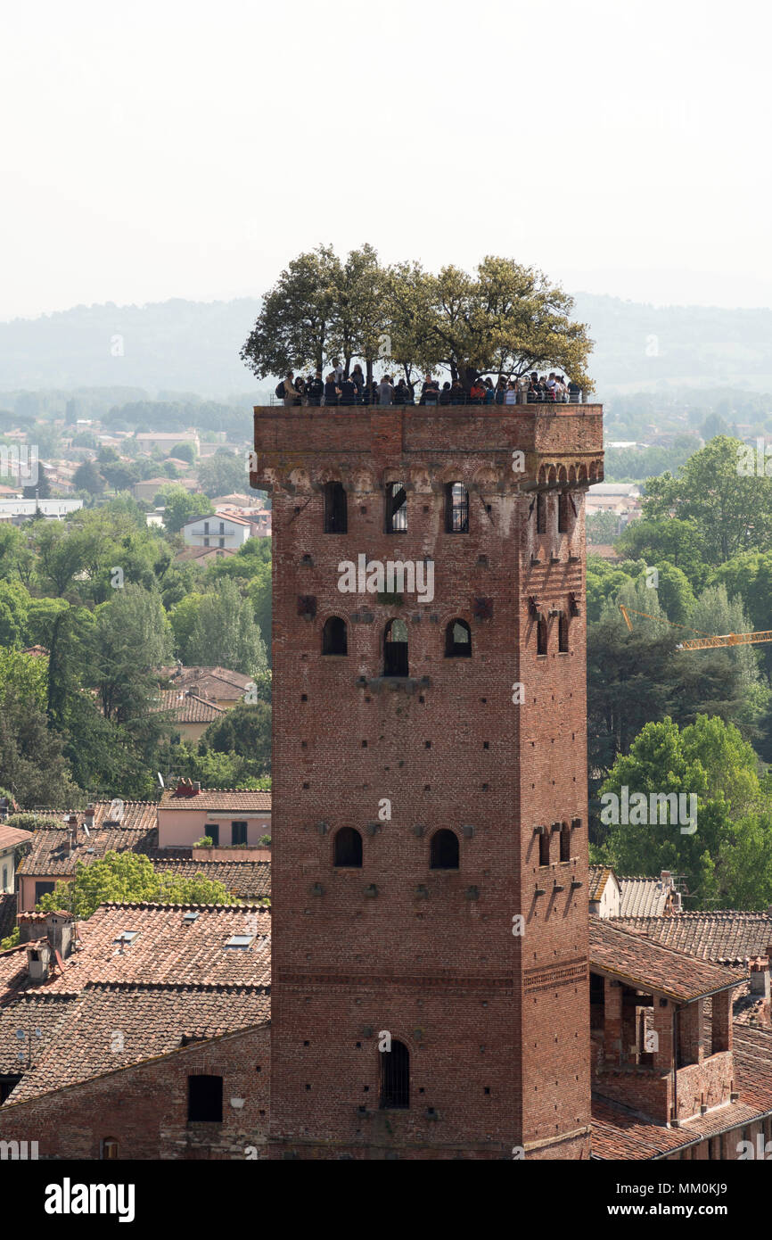 Eine Gruppe von Touristen auf der Oberseite des Torre Guinigi, Lucca, Toskana, Italien, Europa Stockfoto