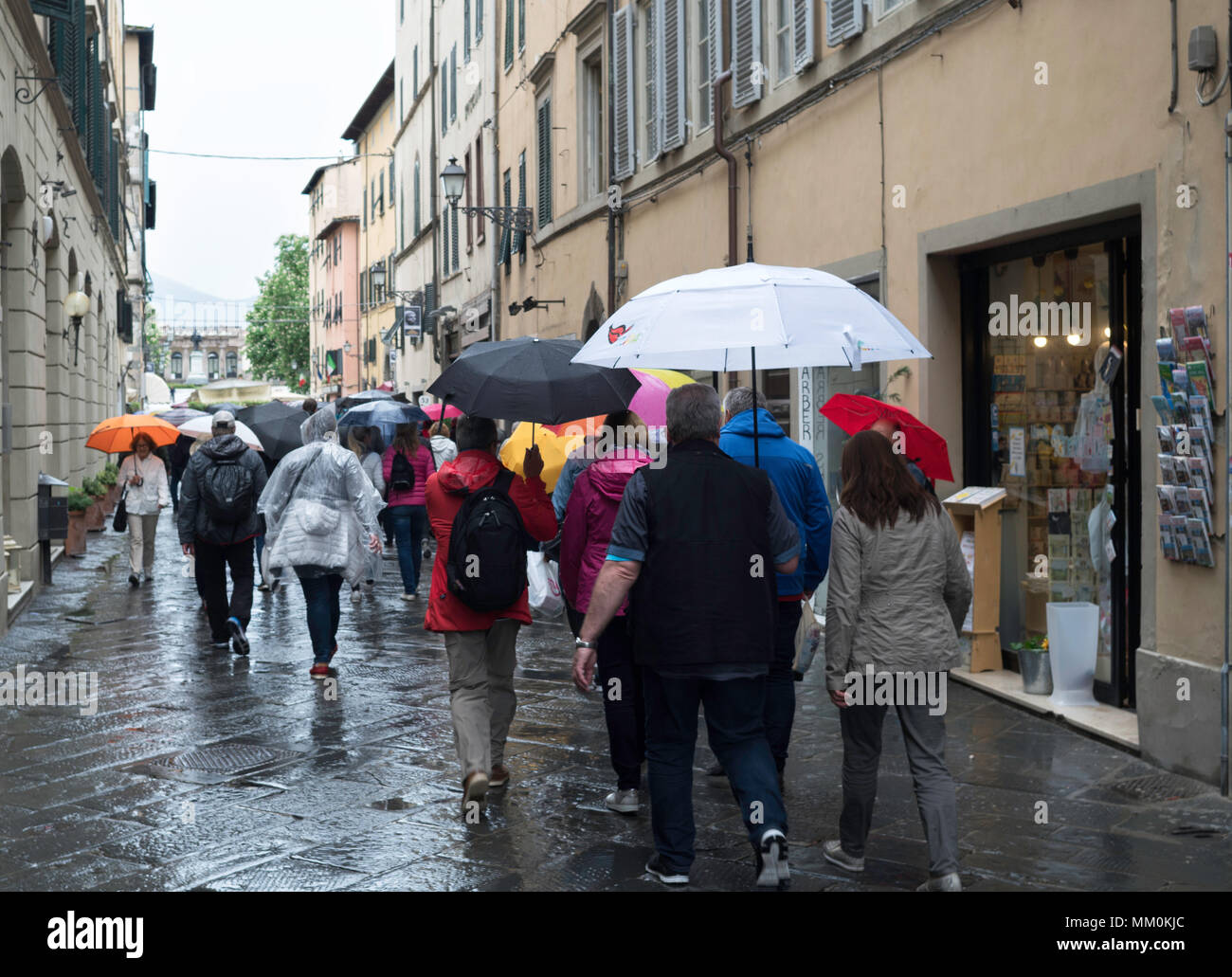 Gruppe von Touristen Sonnenschirme bei Regen in Lucca, Toskana, Italien, Europa Stockfoto