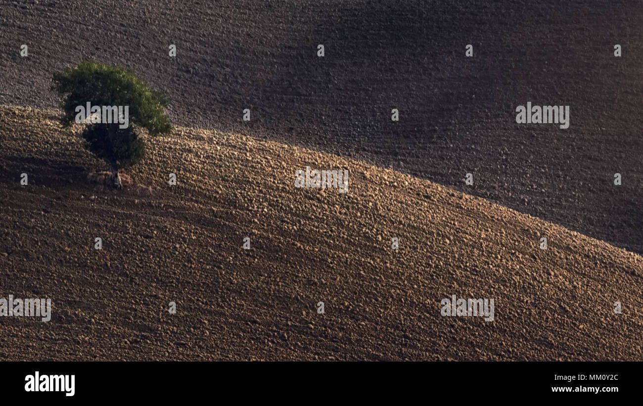 Italien, Provinz Toskana, Herbst 2011 Stockfoto