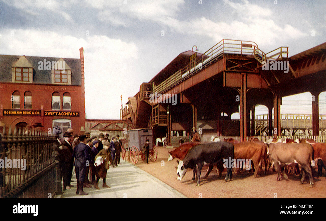 Union Stock Yards. Chicago. 1915 Stockfoto