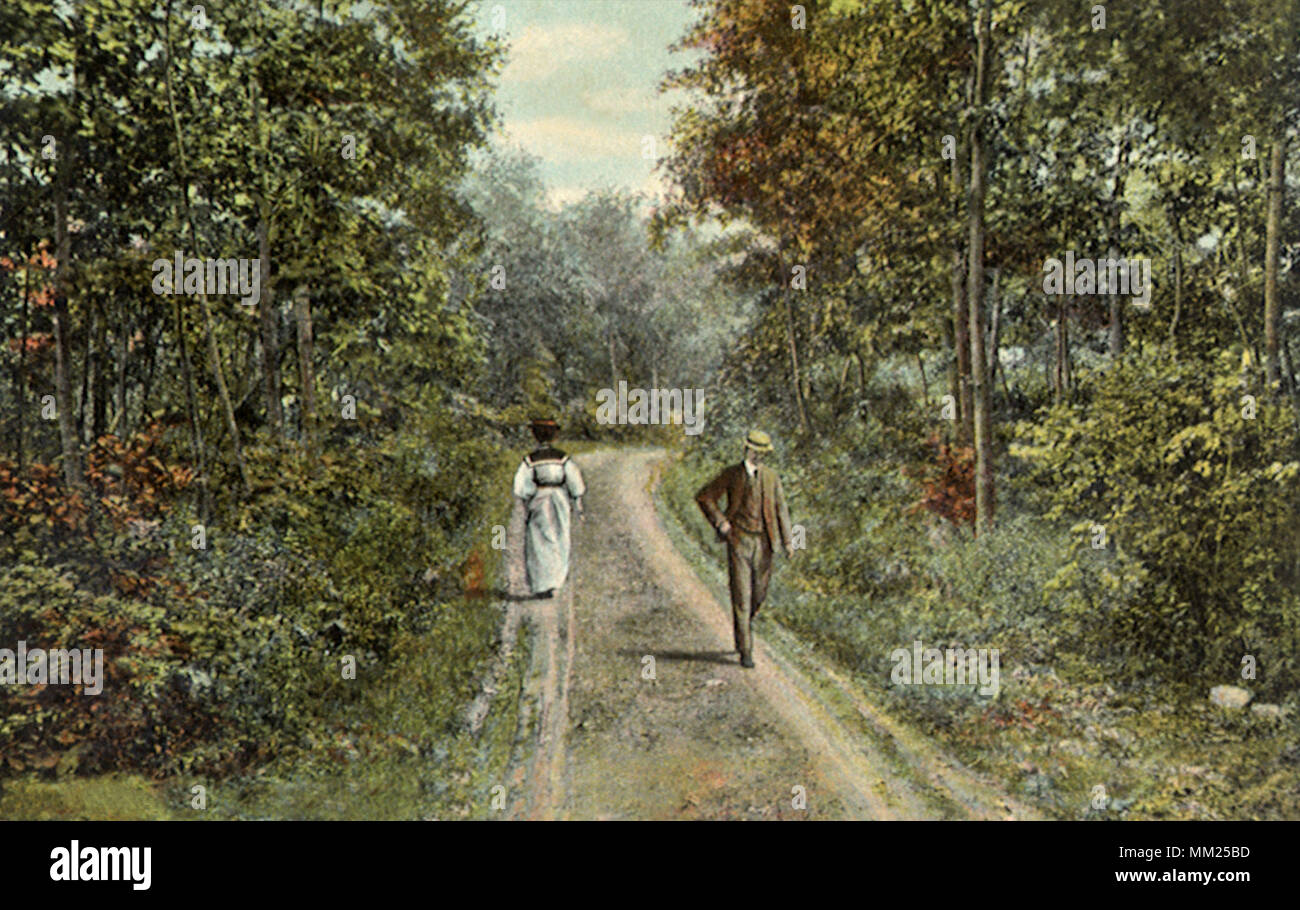 Fußgänger auf bewaldeten Straße. York. 1910 Stockfoto