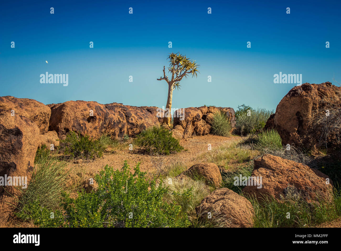 Augrabies Nationalpark Südafrika Stockfoto