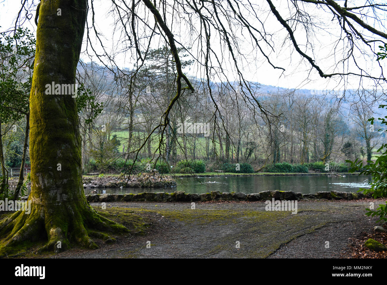 Allgemeine Ansicht der Teich an Craig y Nos in der Swansea Tal. Stockfoto