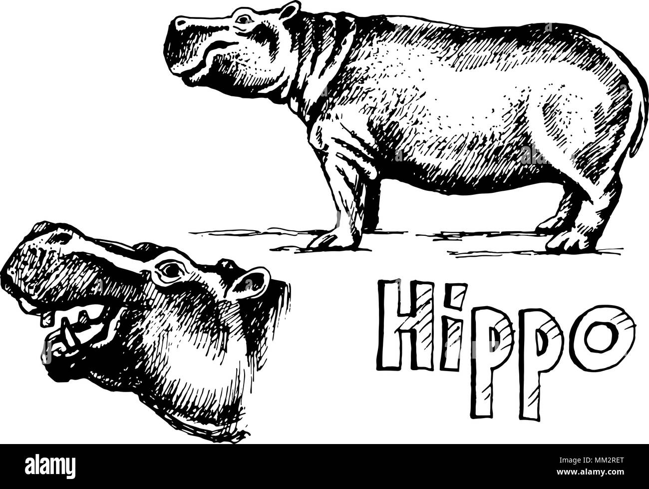 Hippo set Skizze Stock Vektor