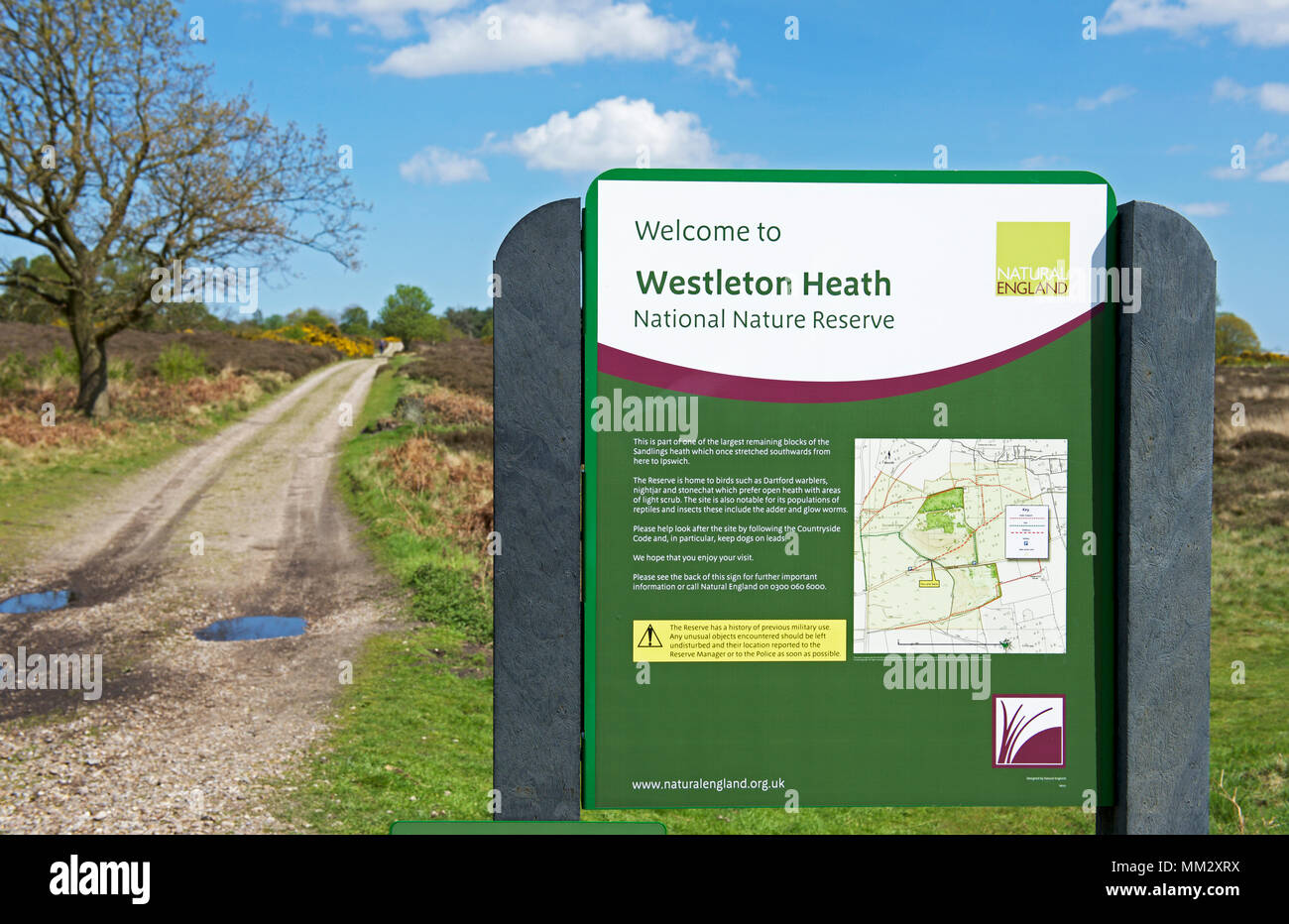 Westleton Heide, Suffolk, England UK Stockfoto