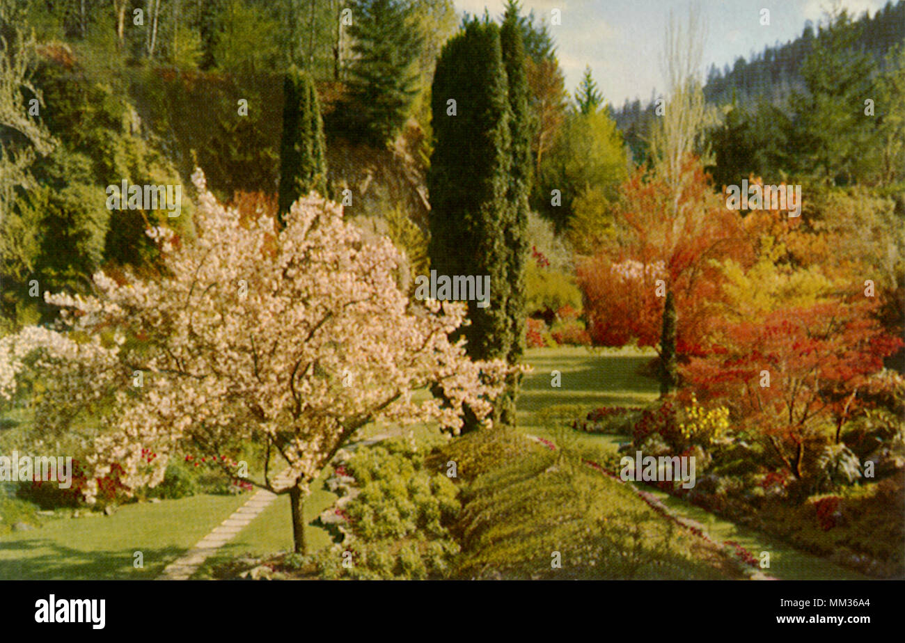 Die Butchart Gardens. Victoria. 1958 Stockfoto