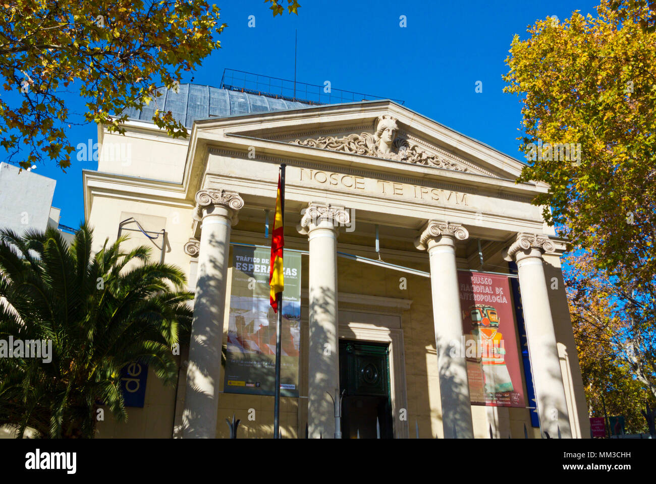Museo de Antropologia, Museum für Anthropologie, Madrid, Spanien Stockfoto