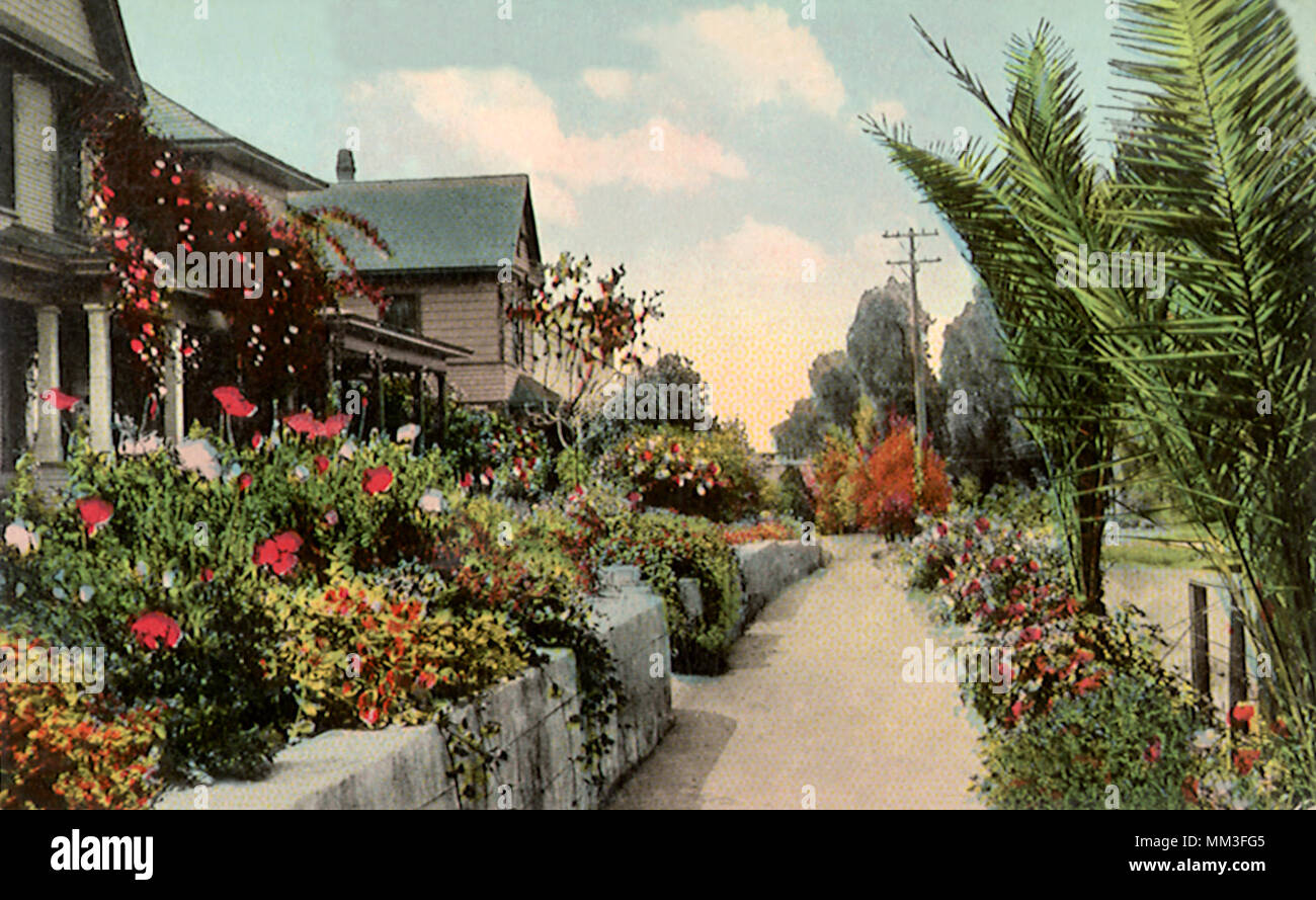 Blumen Garten zu Hause. Wilmington. 1910 Stockfoto