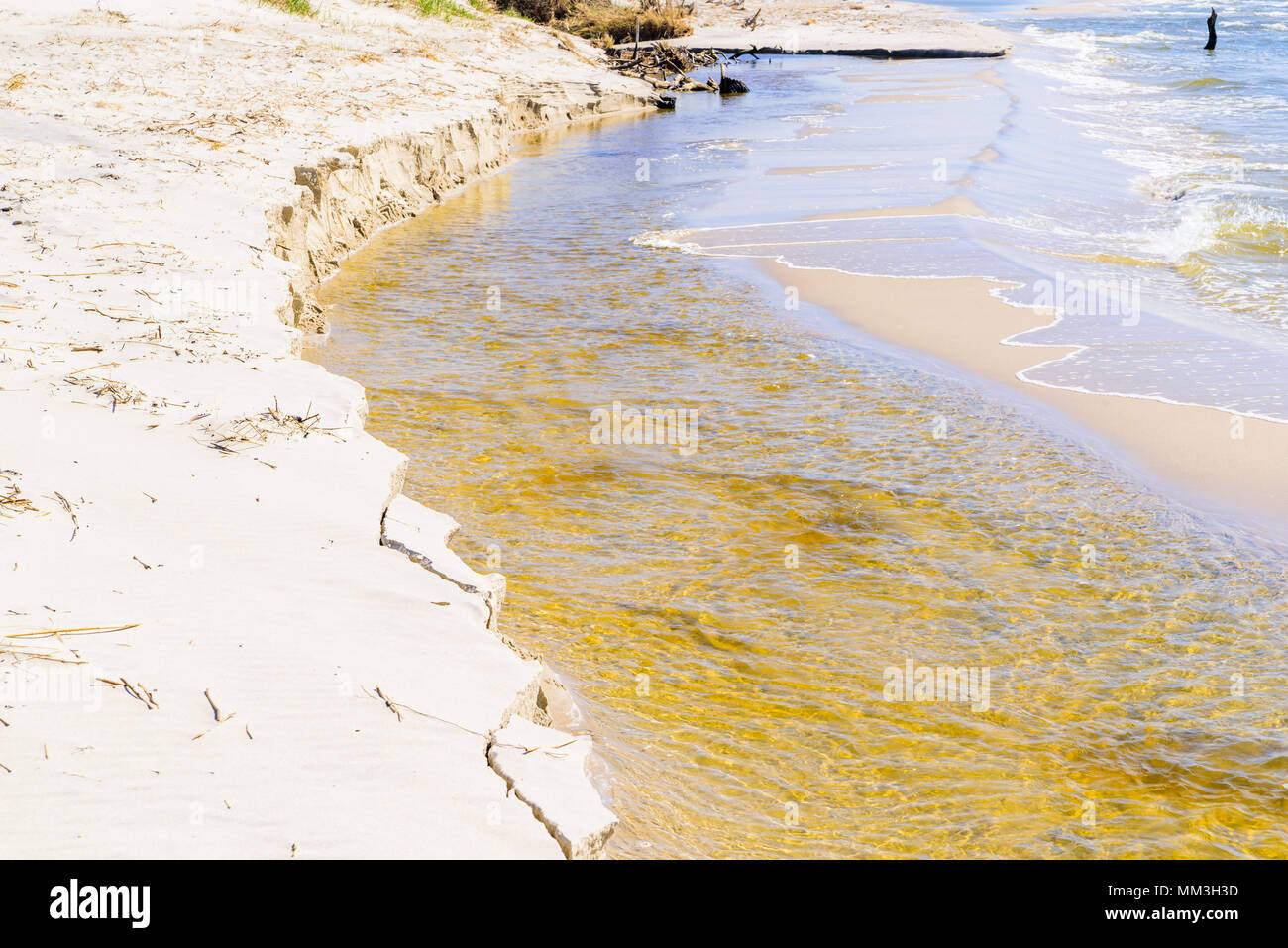 Hagestad Naturschutzgebiet Loderup, Schweden - natürliche Strand Erosion ist ein fortlaufender Prozess. Stockfoto