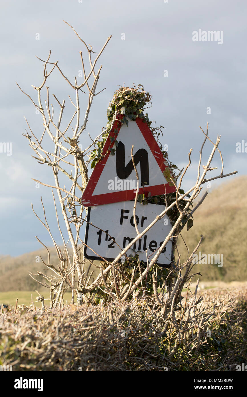 Ein Zeichen Autofahrer rechtzeitig auf eine doppelte Biegung mit Vegetation wächst um ihn herum. Lancashire North West England Großbritannien Stockfoto