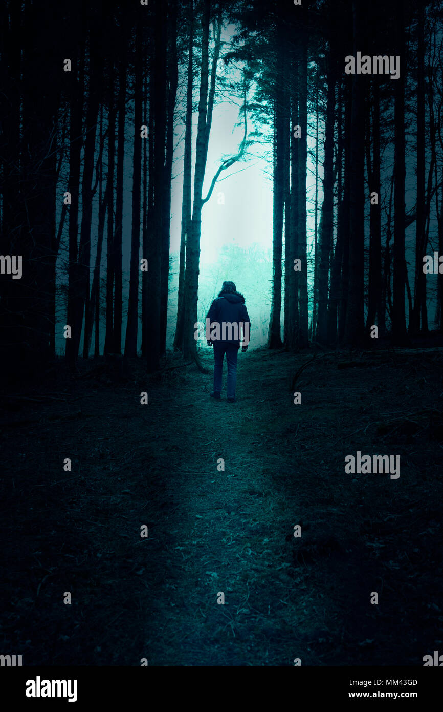 Ansicht von hinten von einem Mann, der eine Kapuzenjacke, Wandern im Wald Stockfoto