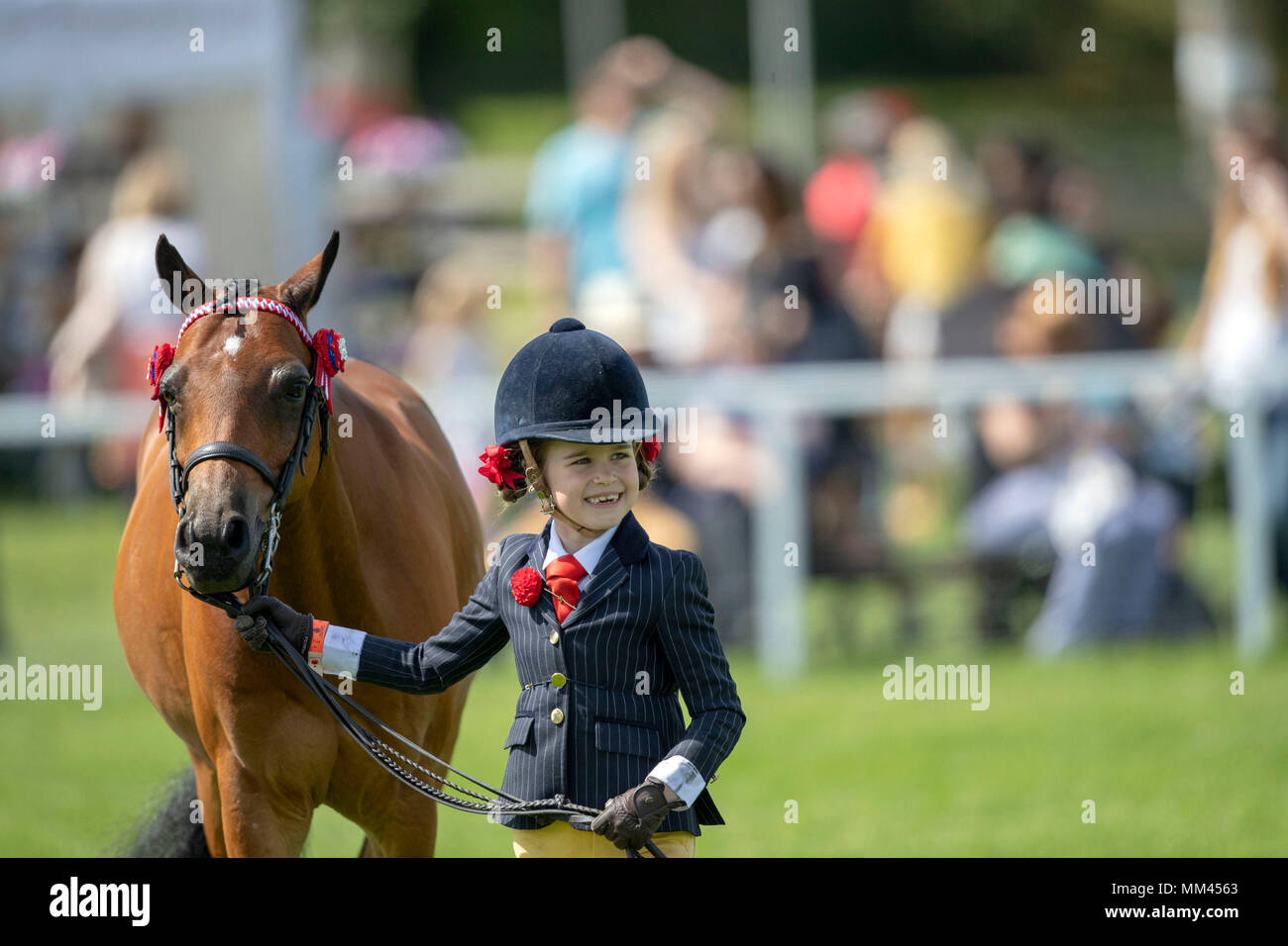 Gracie Aungier konkurriert mit broadgrove Little Star in einer Übersicht Klasse während der Tag einer der Royal Windsor Horse Show im Schloss Windsor, Berkshire. Stockfoto