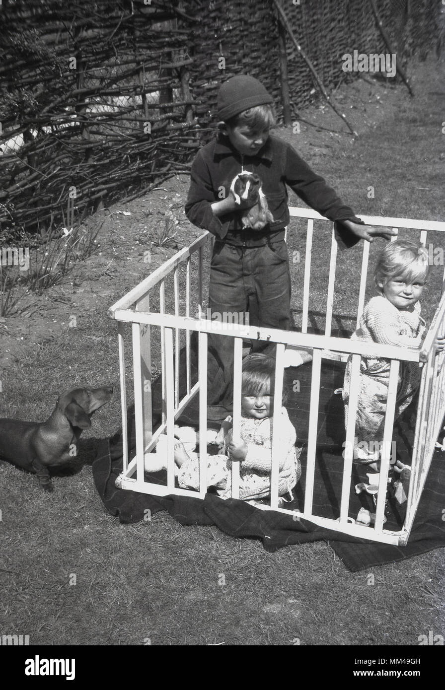 1950er Jahre, historische, ein kleiner Junge in ein Kinderbett außerhalb über sein Kind und Baby Brüder sein Pet gerbil zu zeigen, während die Familie Miniatur dachshun oder Wurst Hund auf dem Gras außerhalb der cot schauen an mit Interesse, England, UK steht. Stockfoto