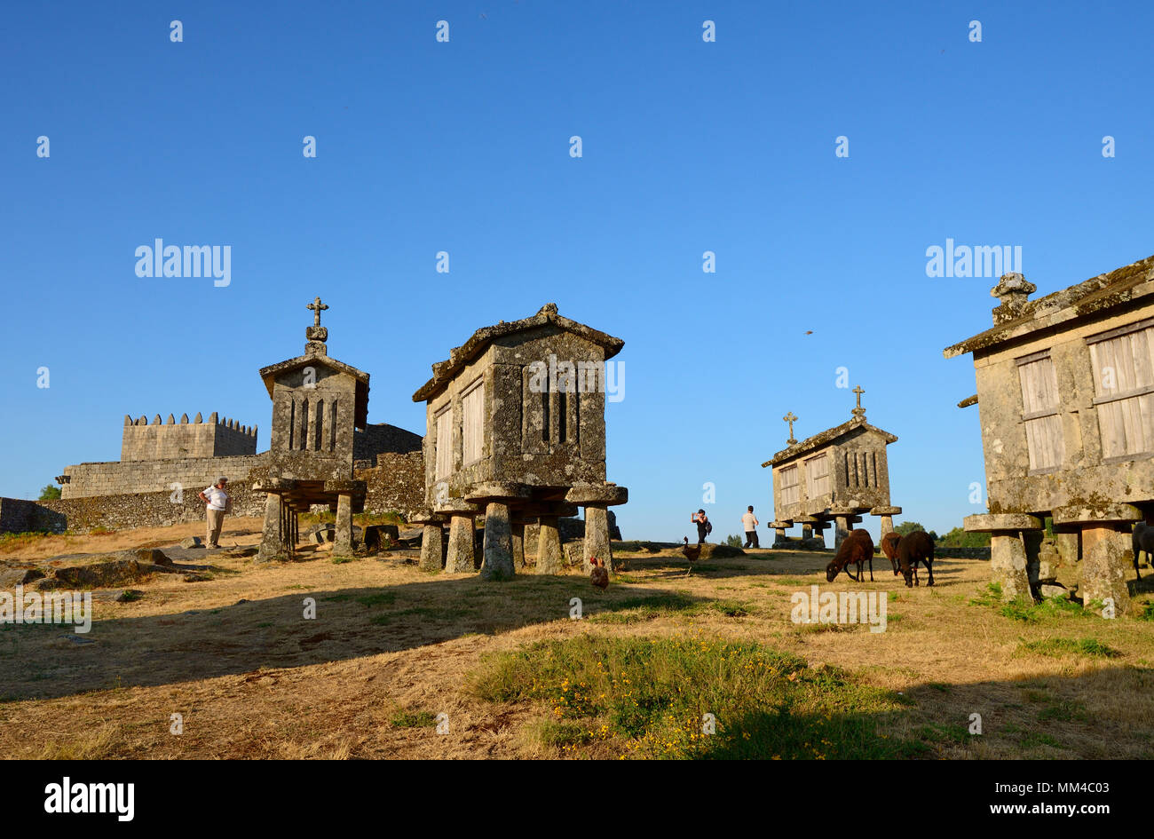 Espigueiros, die alten und traditionellen Stein Getreidespeicher der Lindoso. Peneda Gerês National Park, Portugal Stockfoto