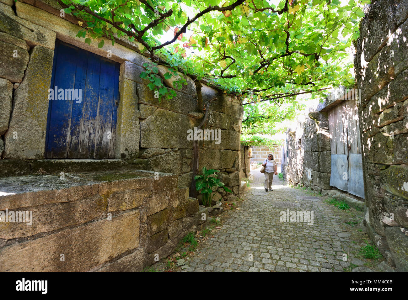 Die angenehm schattigen Straßen von Lindoso, bedeckt von Weinreben (latadas). Peneda Gerês National Park, Portugal Stockfoto