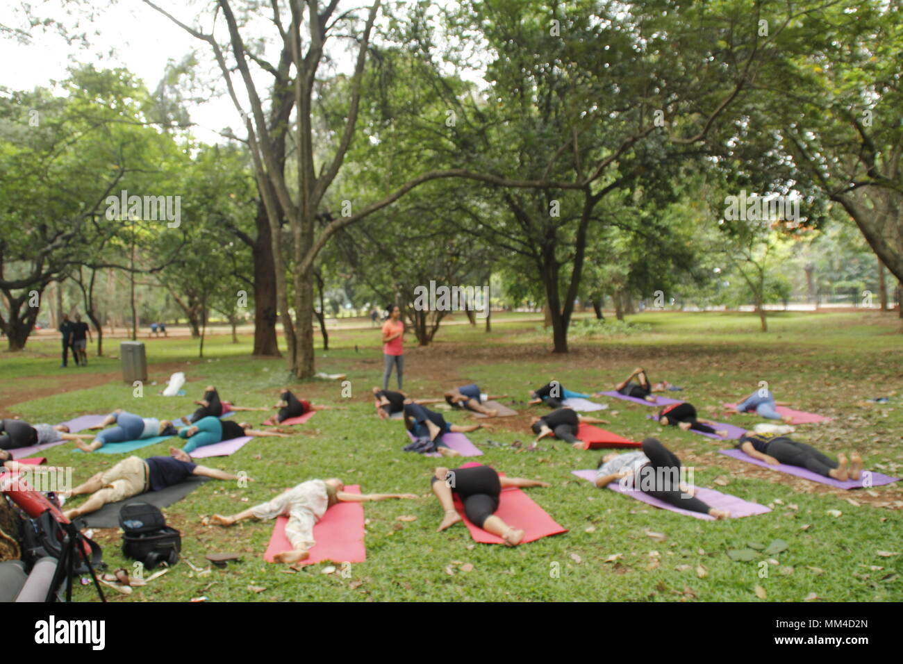 Gruppe von jungen Männern und Frauen Yoga im Cubbon Park, Bangalore. Stockfoto