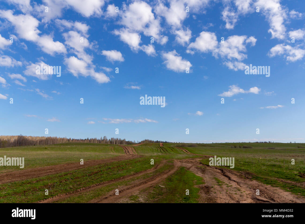 Die Landschaft, die Straße führt auf dem Feld über die Hügel an einem sonnigen Tag Stockfoto