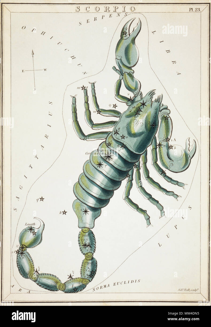 Skorpion. Karte Nummer 23 von Urania's Mirror, oder einen Blick auf den Himmel, eines der 32 astronomischen Star Chart Karten von Sidney Hall graviert und publshed 1824. Stockfoto