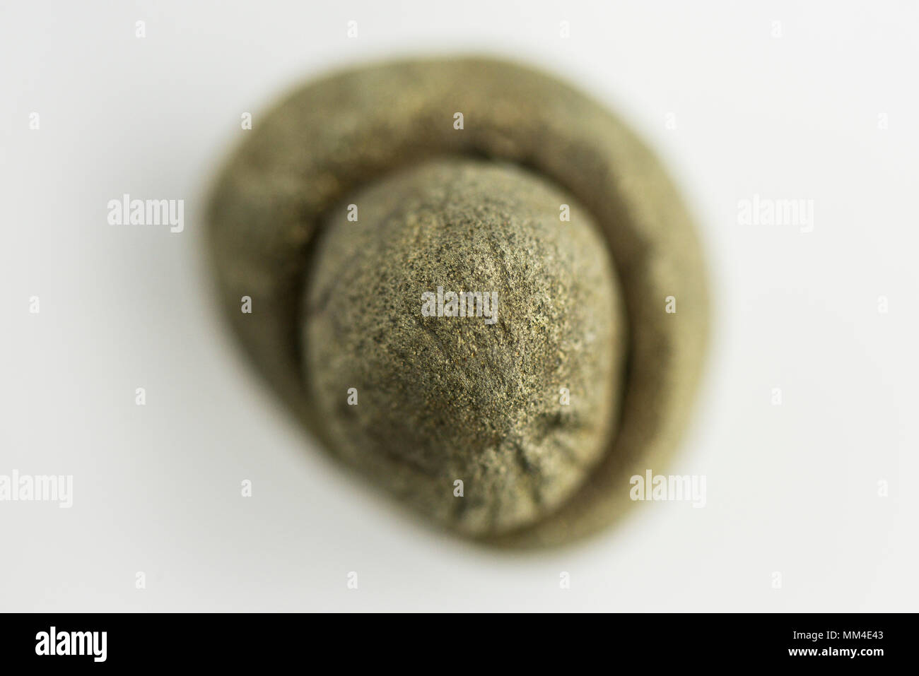 Ein Klumpen Eisenpyrit, der an der Jurassic Küste in Dorset gefunden wurde Stockfoto