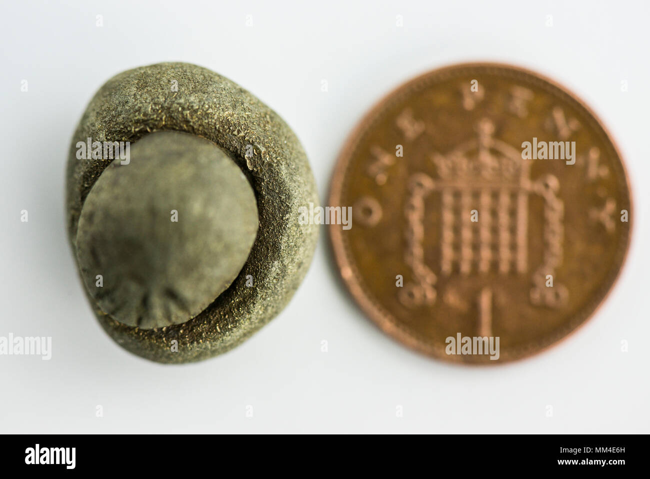 Ein Klumpen Eisenpyrit, der an der Jurassic Küste in Dorset neben einem Penny für Skala gefunden wurde Stockfoto