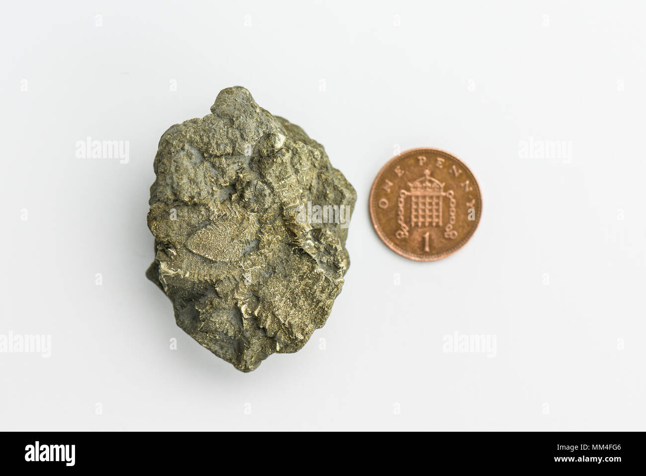 Ein Klumpen Eisenpyrit, der an der Jurassic Küste in Dorset neben einem Penny für Skala gefunden wurde Stockfoto