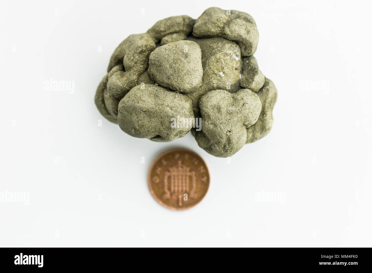 Ein Klumpen Eisenpyrit, der an der Jurassic Küste in Dorset neben einem Penny für Skala gefunden wurde Stockfoto