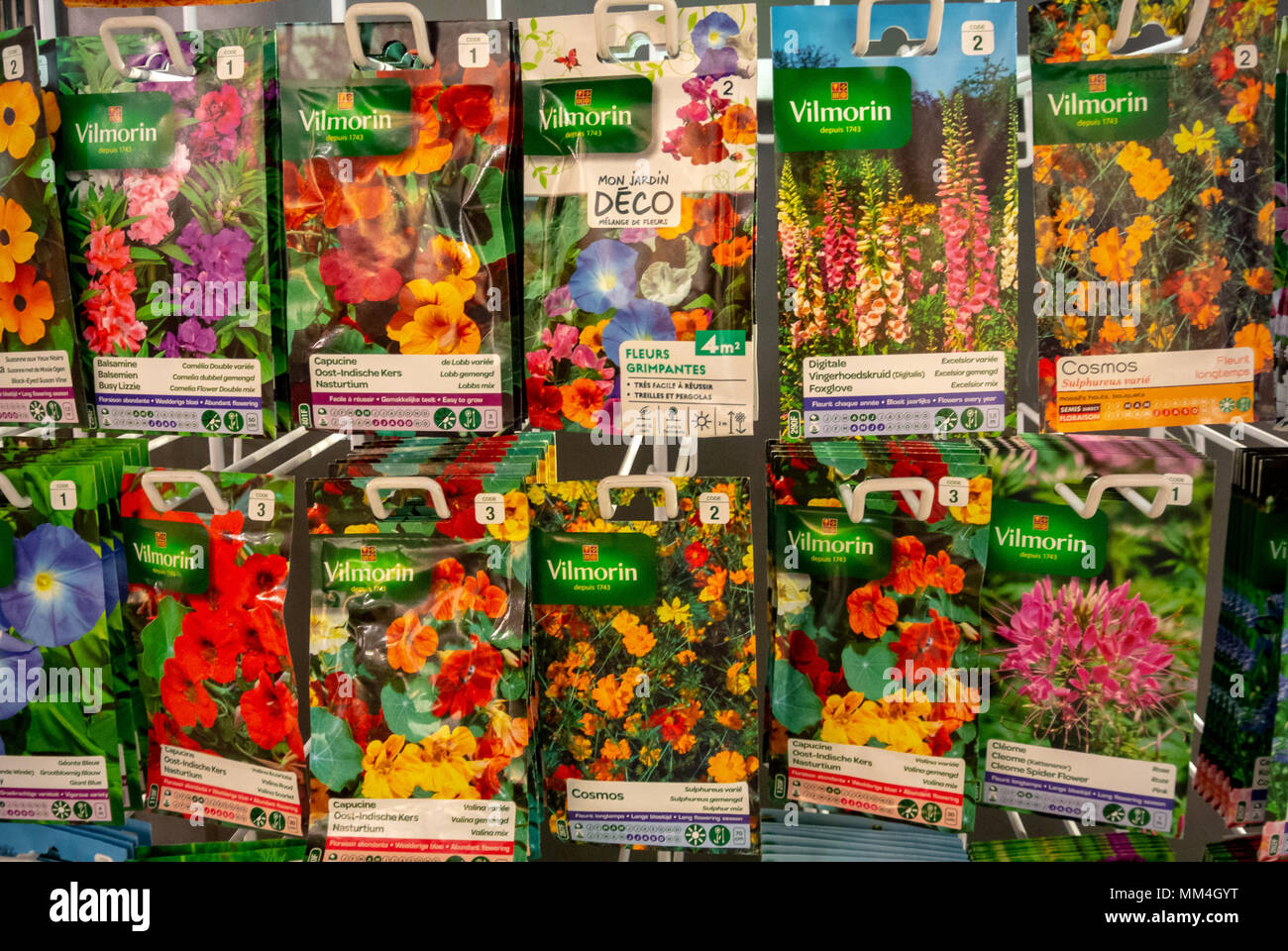 Paket von flower Seed Stockfoto