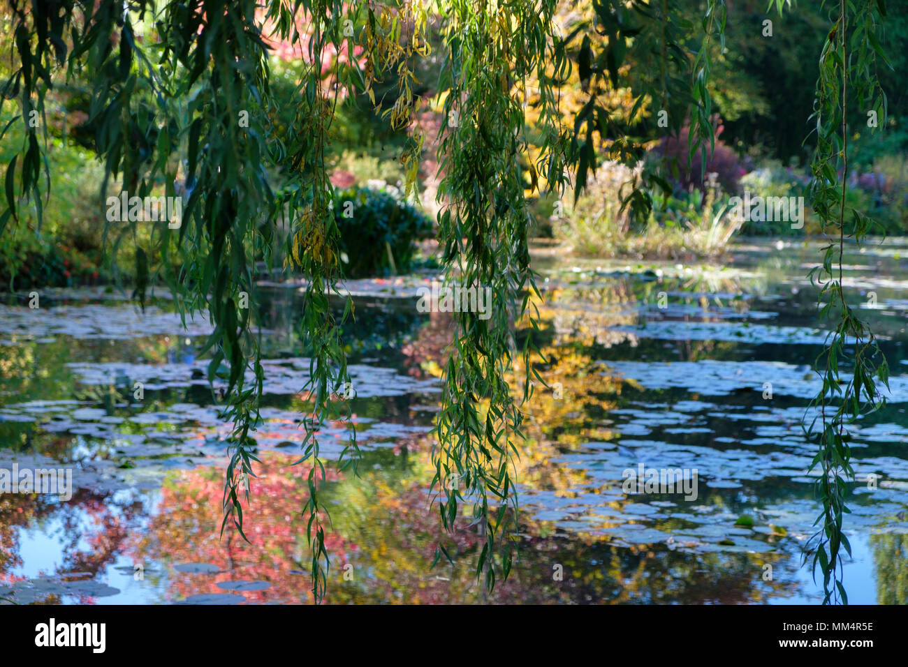 Seerosen und Gärten, das Haus und die Gärten von Claude Monet in Giverny, Frankreich Stockfoto